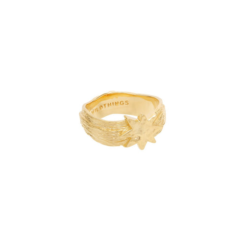 HAMMERED STAR PINKY RING GOUD